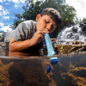 LifeStraw Personal Water Filter for Hiking, Camping, Travel, and Emergency Preparedness