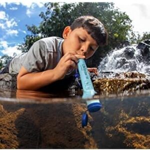 LifeStraw Personal Water Filter for Hiking, Camping, Travel, and Emergency Preparedness