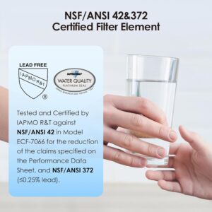 Waterdrop Gravity-fed Water Filter System, Reduces Lead and up to 99% of Chlorine, NSF/ANSI 42&372 Standard, with 2 Black Carbon Filters and Metal Spigot, King Tank Series, WD-TK-A