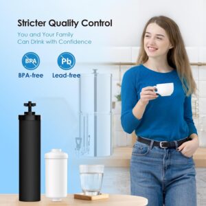 Waterdrop Gravity-fed Water Filter System, Reduces Lead and up to 99% of Chlorine, NSF/ANSI 42&372 Standard, with 2 Black Carbon Filters and Metal Spigot, King Tank Series, WD-TK-A