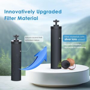 Waterdrop Gravity-fed Water Filter System, Reduces Lead and up to 99% of Chlorine, NSF/ANSI 42&372 Standard, with 2 Black Carbon Filters and Metal Spigot, King Tank Series, WD-TK-A