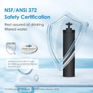 Waterdrop Gravity-fed Water Filter System, Reduces Lead and up to 99% of Chlorine, NSF/ANSI 42&372 Standard, with 2 Black Carbon Filters and Metal Spigot, King Tank Series, WD-TK-A