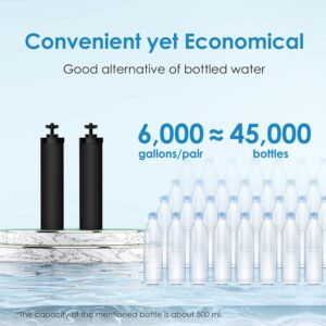 Waterdrop Gravity-fed Water Filter System, Reduces Lead and up to 99% of Chlorine, NSF/ANSI 42&372 Standard, with 2 Black Carbon Filters and Metal Spigot, King Tank Series, WD-TK-A