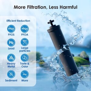 Waterdrop Gravity-fed Water Filter System, Reduces Lead and up to 99% of Chlorine, NSF/ANSI 42&372 Standard, with 2 Black Carbon Filters and Metal Spigot, King Tank Series, WD-TK-A