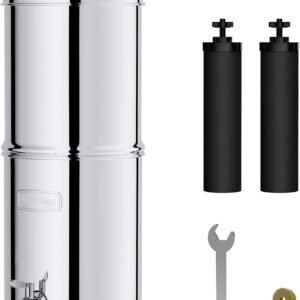 Waterdrop Gravity-fed Water Filter System, Reduces Lead and up to 99% of Chlorine, NSF/ANSI 42&372 Standard, with 2 Black Carbon Filters and Metal Spigot, King Tank Series, WD-TK-A