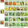 Set of 43 Assorted Vegetable & Herb Seed Packets - Over 10,000 Seeds! - Includes Mylar Storage Bag - Deluxe Garden Heirloom Seeds - 100% Non-GMO - Image 3