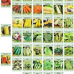 Set of 43 Assorted Vegetable & Herb Seed Packets - Over 10,000 Seeds! - Includes Mylar Storage Bag - Deluxe Garden Heirloom Seeds - 100% Non-GMO