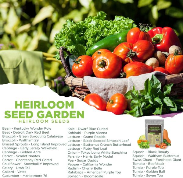 33 Variety Seed Bank Survival Gear 30,000 Premium Non-GMO Open Pollinated Heirloom Seeds Made in USA - Image 3