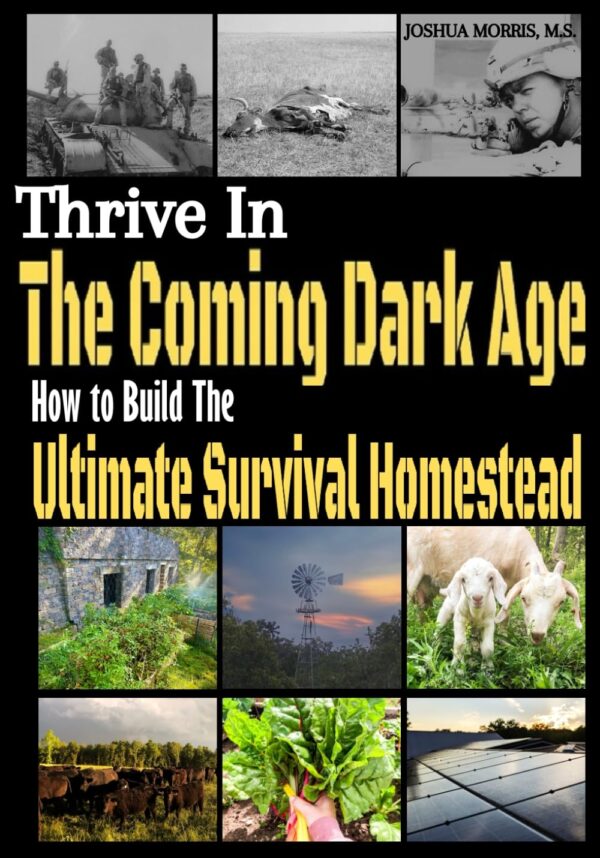 Thrive in the Coming Dark Age: How to Build the Ultimate Survival Homestead