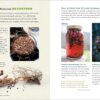 Rosemary Gladstar's Medicinal Herbs: A Beginner's Guide: 33 Healing Herbs to Know, Grow, and Use - Image 4