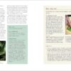 Rosemary Gladstar's Medicinal Herbs: A Beginner's Guide: 33 Healing Herbs to Know, Grow, and Use - Image 7