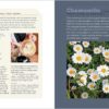 Rosemary Gladstar's Medicinal Herbs: A Beginner's Guide: 33 Healing Herbs to Know, Grow, and Use - Image 8