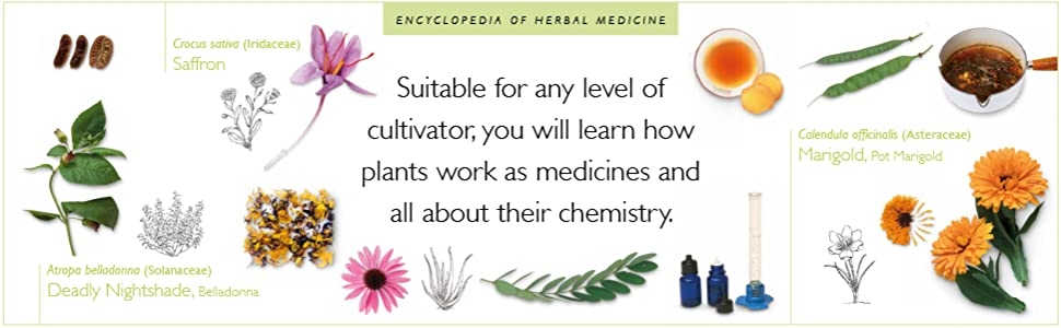 The Self-Sufficient Life and How to Live It The Complete Back-to-Basics Guide
