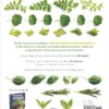 DK Encyclopedia of Herbal Medicine: 550 Herbs Loose Leaves and Remedies for Common Ailments - Image 2