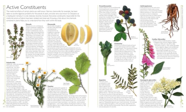 DK Encyclopedia of Herbal Medicine: 550 Herbs Loose Leaves and Remedies for Common Ailments - Image 3