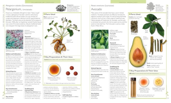DK Encyclopedia of Herbal Medicine: 550 Herbs Loose Leaves and Remedies for Common Ailments - Image 4