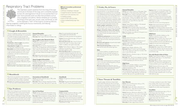 DK Encyclopedia of Herbal Medicine: 550 Herbs Loose Leaves and Remedies for Common Ailments - Image 6