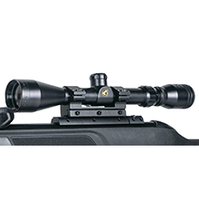 air rifle, pellet rifle, pellet airgun, bb airgun, 10 shot rifle, hunting rifle, pest control rifle